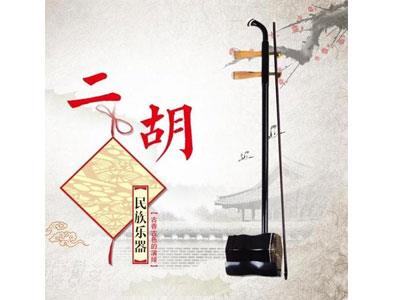 招聘咸阳二胡家教老师